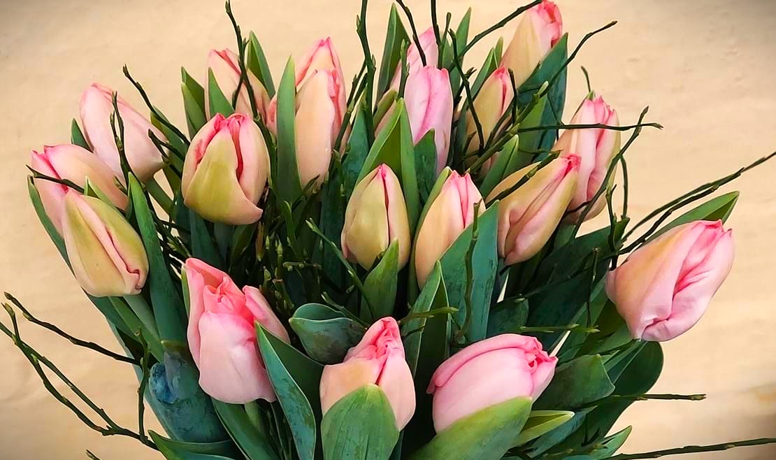 Buket af lyserøde tulipaner. 