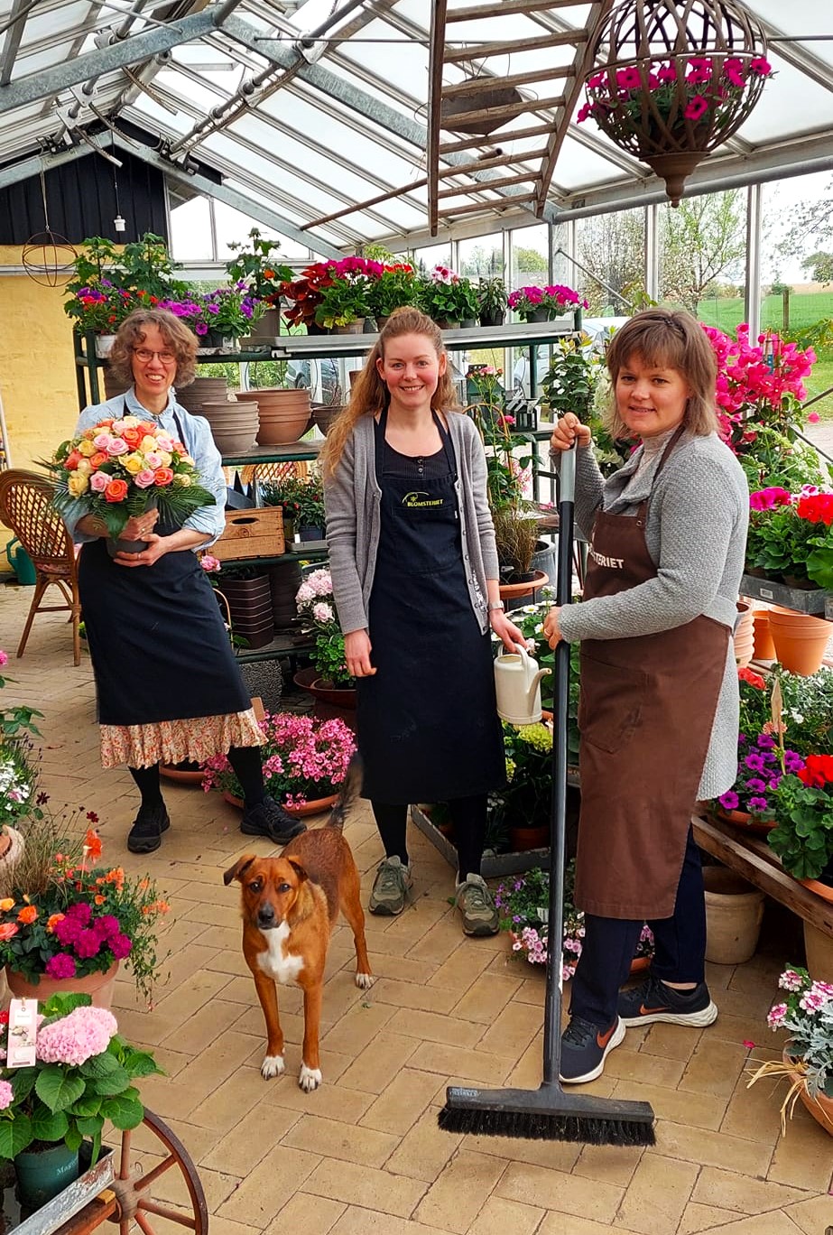 Indehaver Kirsten og hendes to ansatte står i et orangeri fyldt med farverige blomster. 