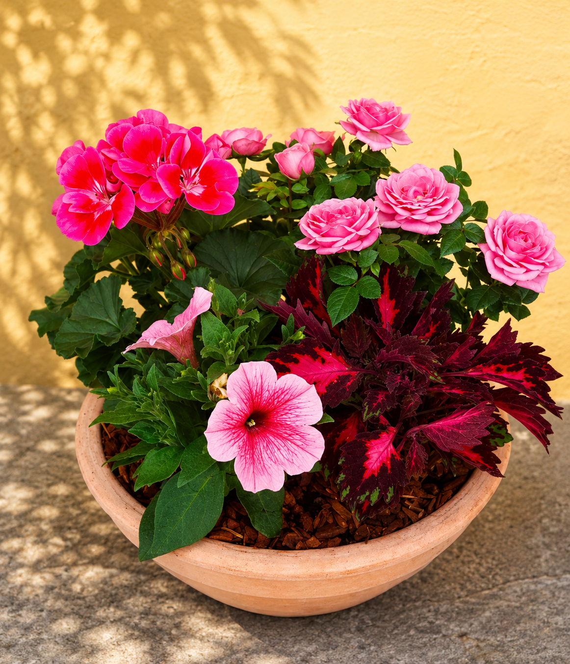 Udendørs plantearrangement i lerpotte med roser og petunia osv.