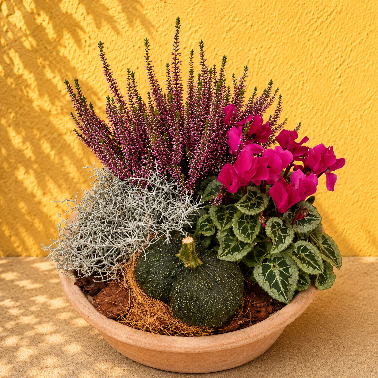 Sensommersammenplantning med lyng, alpevioler, græskar og årstidens grønne planter. 